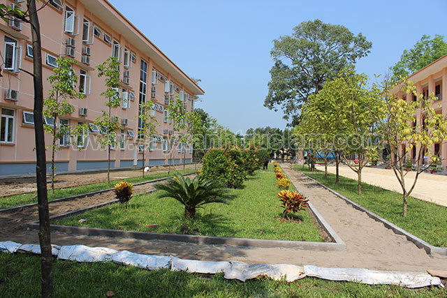 Dự an Trồng Cây Xanh Đã Xong Tai Quân Đoàn Hai Bắc Giang