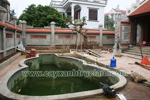 Hồ Sen Nhà Cổ Thường Tín Hà Nội