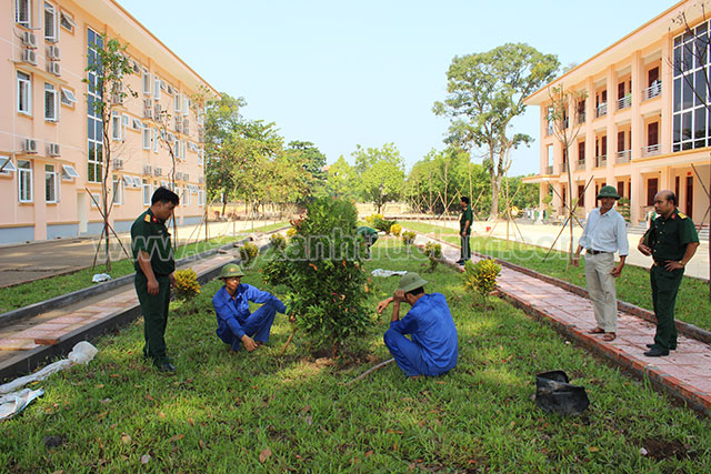 Trông Cây Tại Quân Đoàn Hai Bắc Giang